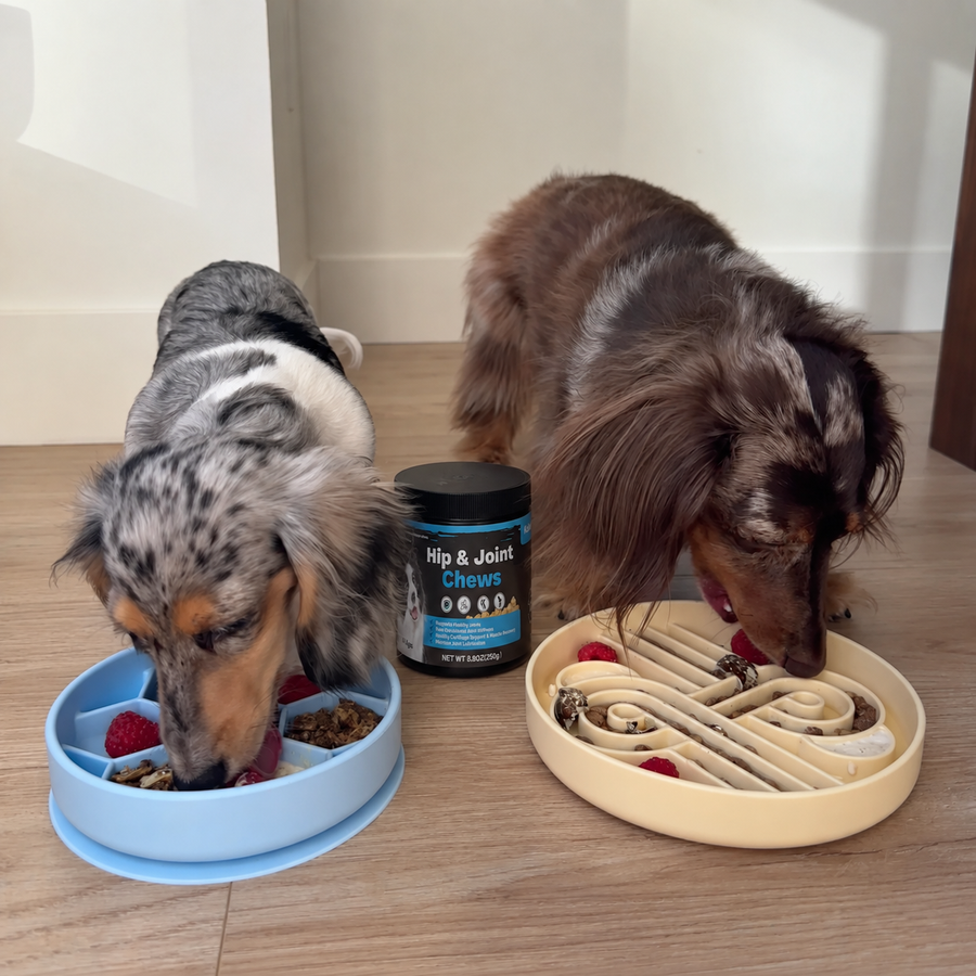 Customer pet photo