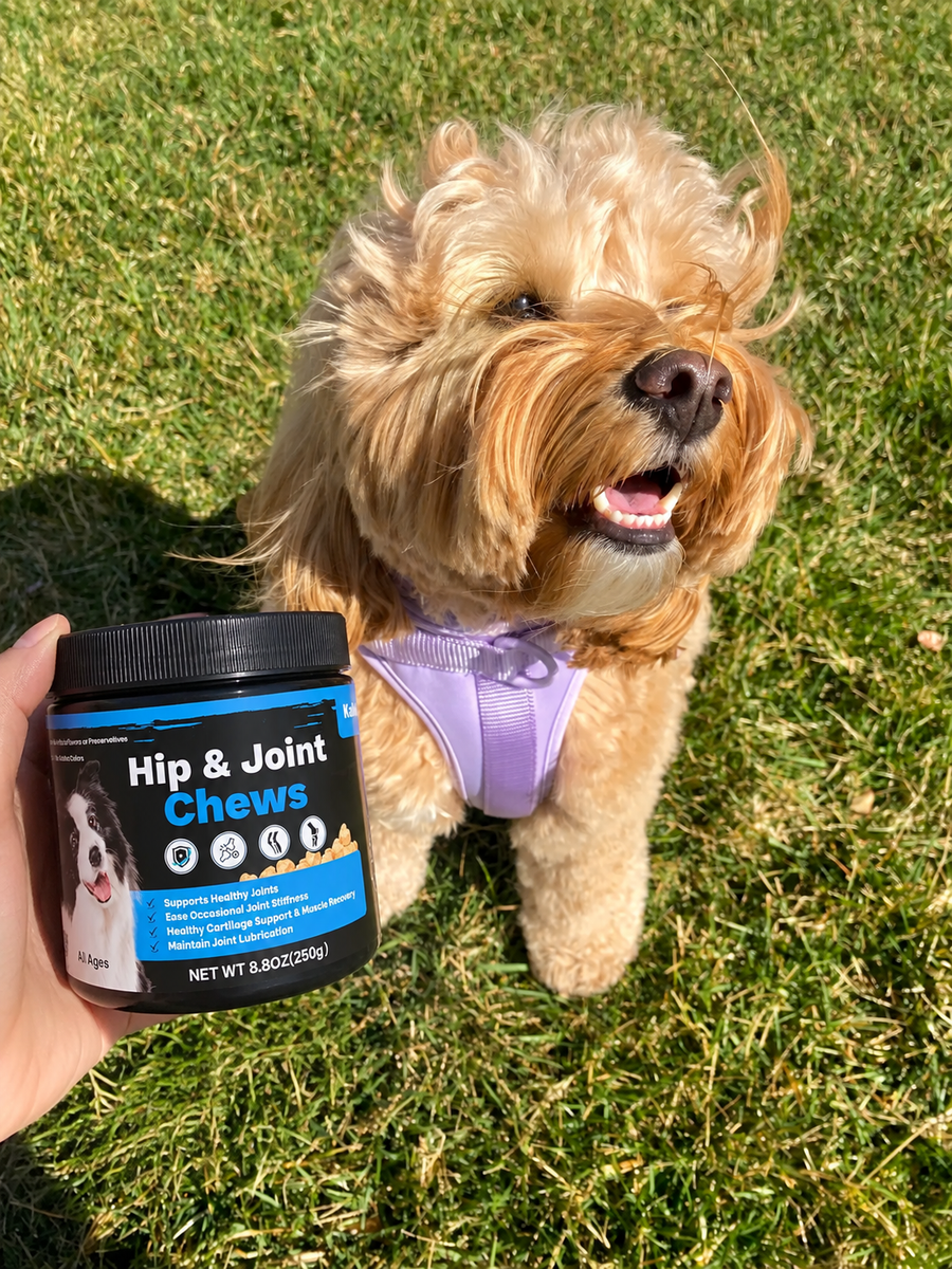 Customer pet photo