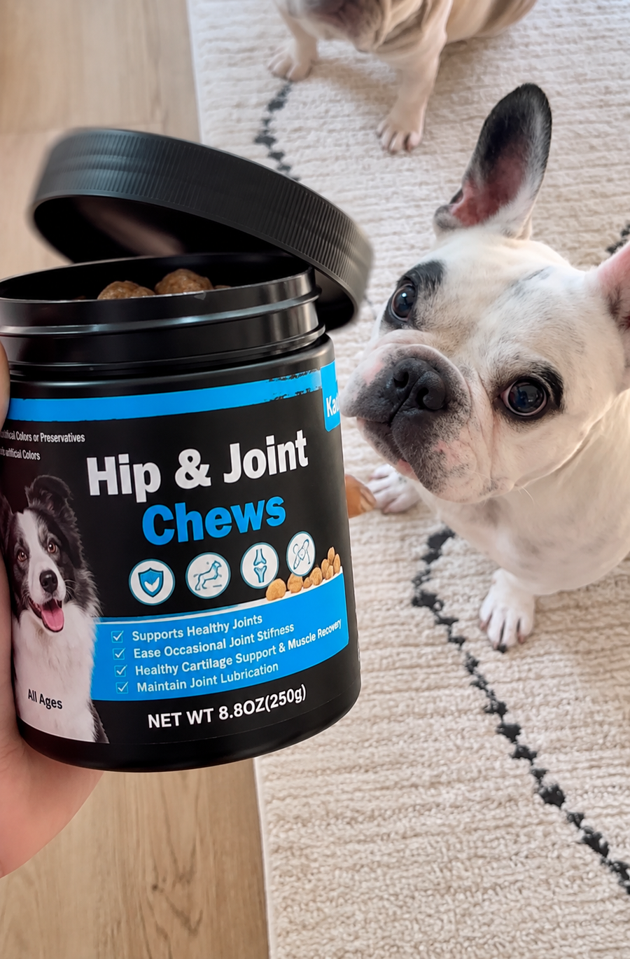 Customer pet photo