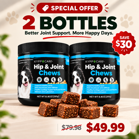 BUY 2, GET 1 FREE
